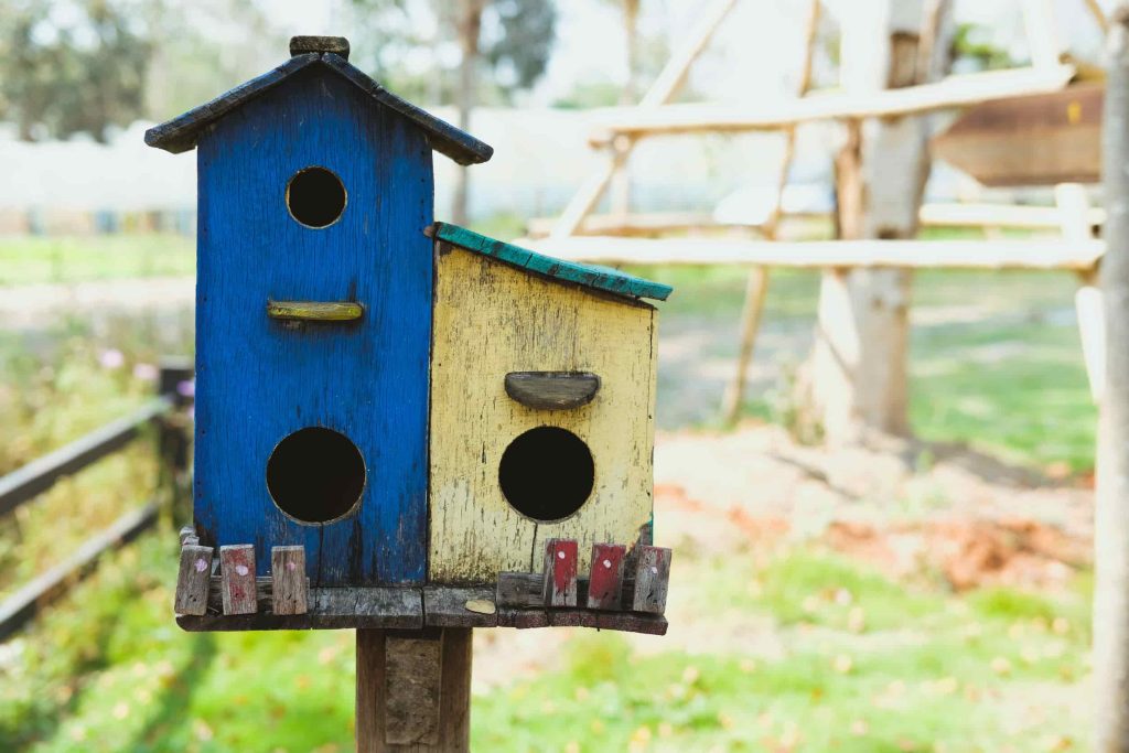 vogelhuisje in de tuin in de lente