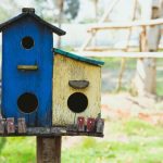 vogelhuisje in de tuin in de lente